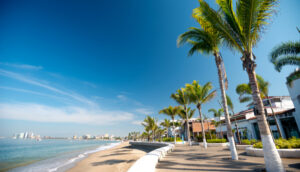 malecon with palm trees in Puerto Vallarta, Mexico